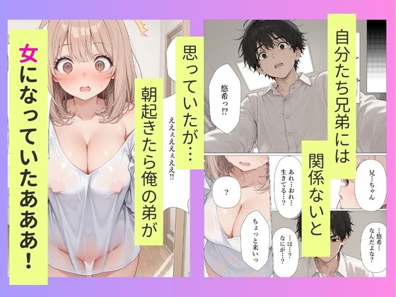 弟が突然妹になったので責任もって中出しセックスして嫁にします サンプル画像2