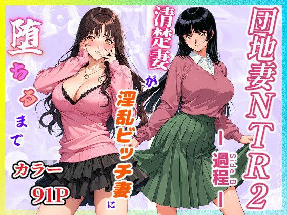 団地妻NTR2 -過程（Side B）-〜清楚妻が淫乱ビッチ妻に堕ちるまで〜