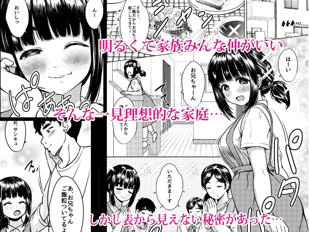 兄妹が終わる時 〜可愛く成長した妹に壊れた兄が手を出すまで〜 サンプル画像1