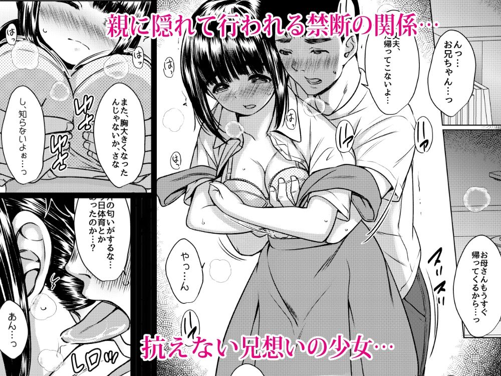 兄妹が終わる時 〜可愛く成長した妹に壊れた兄が手を出すまで〜 サンプル画像2
